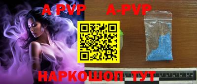 гашик Кимры