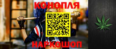 гашик Кимры