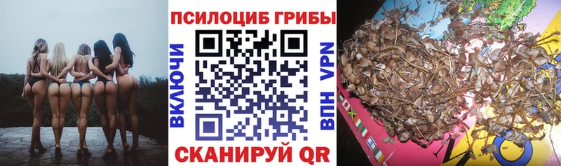 Псилоцибиновые грибы мицелий  купить  сайты  Надым 