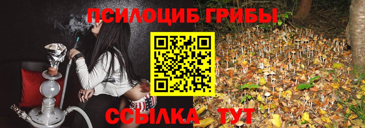 купить  сайты  Галлюциногенные грибы Cubensis  Вход с VPN  Надым 